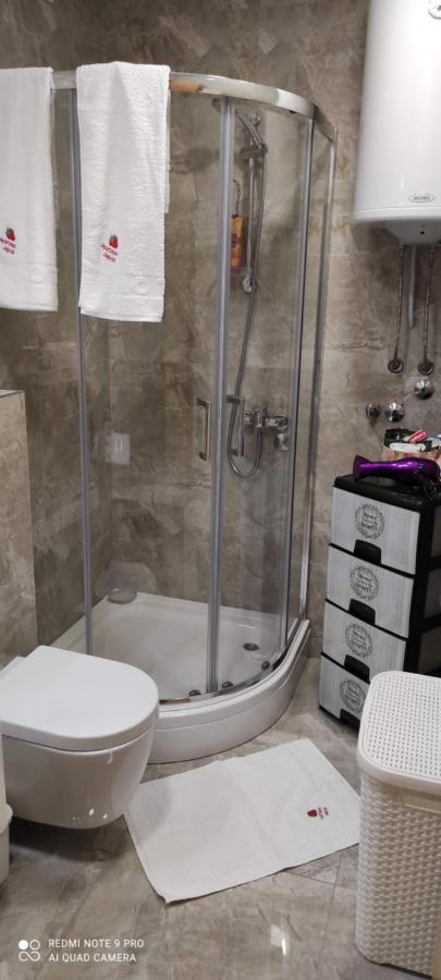 Zlatibor Apartman Jagoda Extérieur photo
